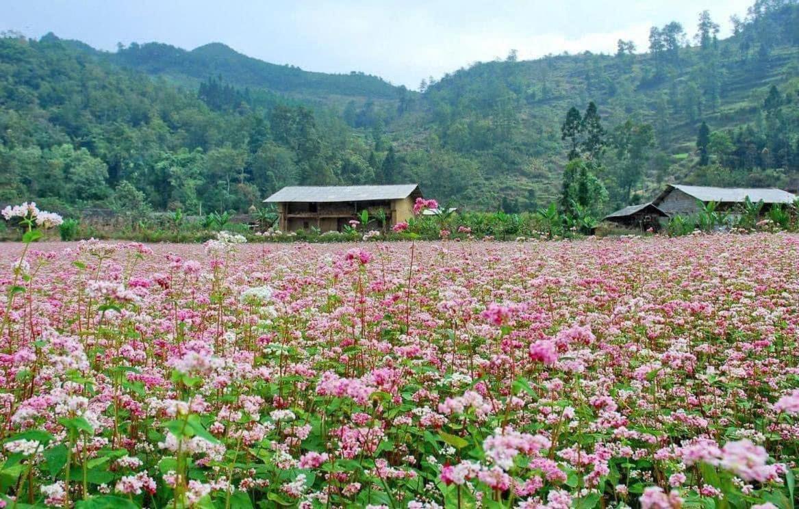 Thuy Anh Hotel Ha Giang Esterno foto