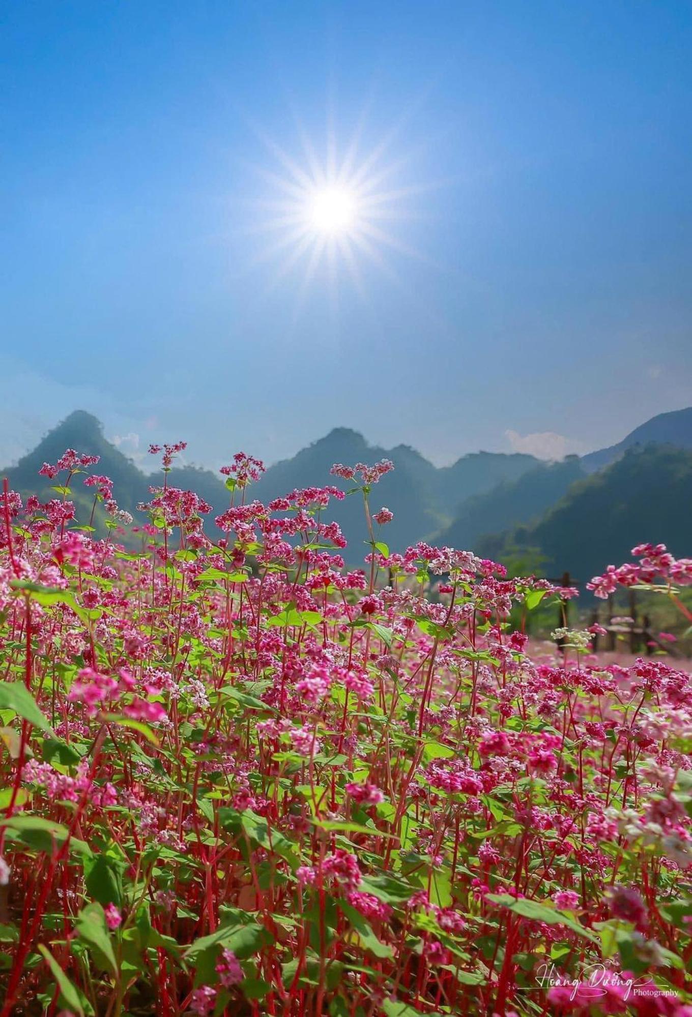 Thuy Anh Hotel Ha Giang Esterno foto